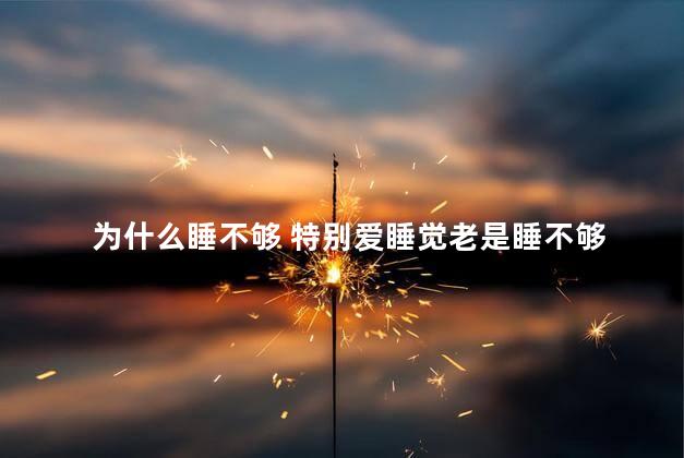 为什么睡不够 特别爱睡觉老是睡不够